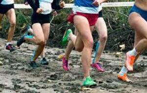 CROSS REGIONAL - VIEUX CONDE