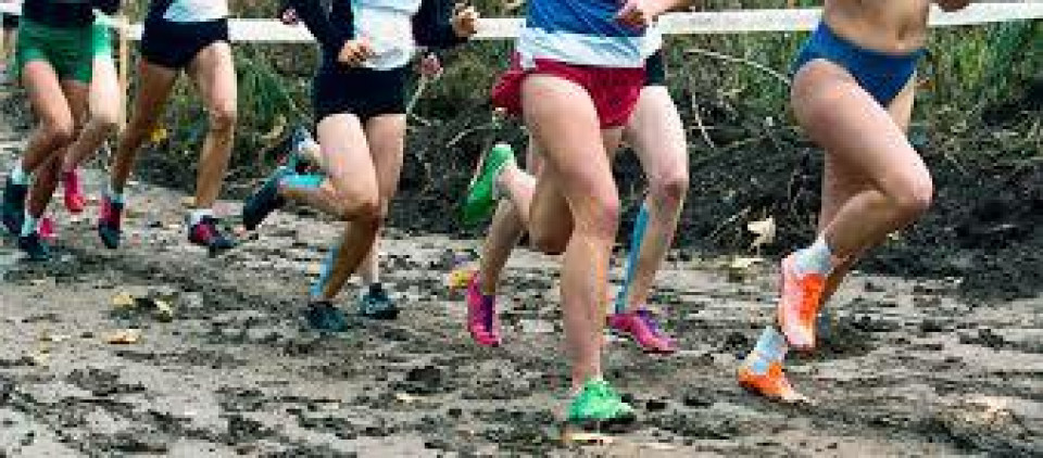 FRANCE CROSS FSGT - ORNE